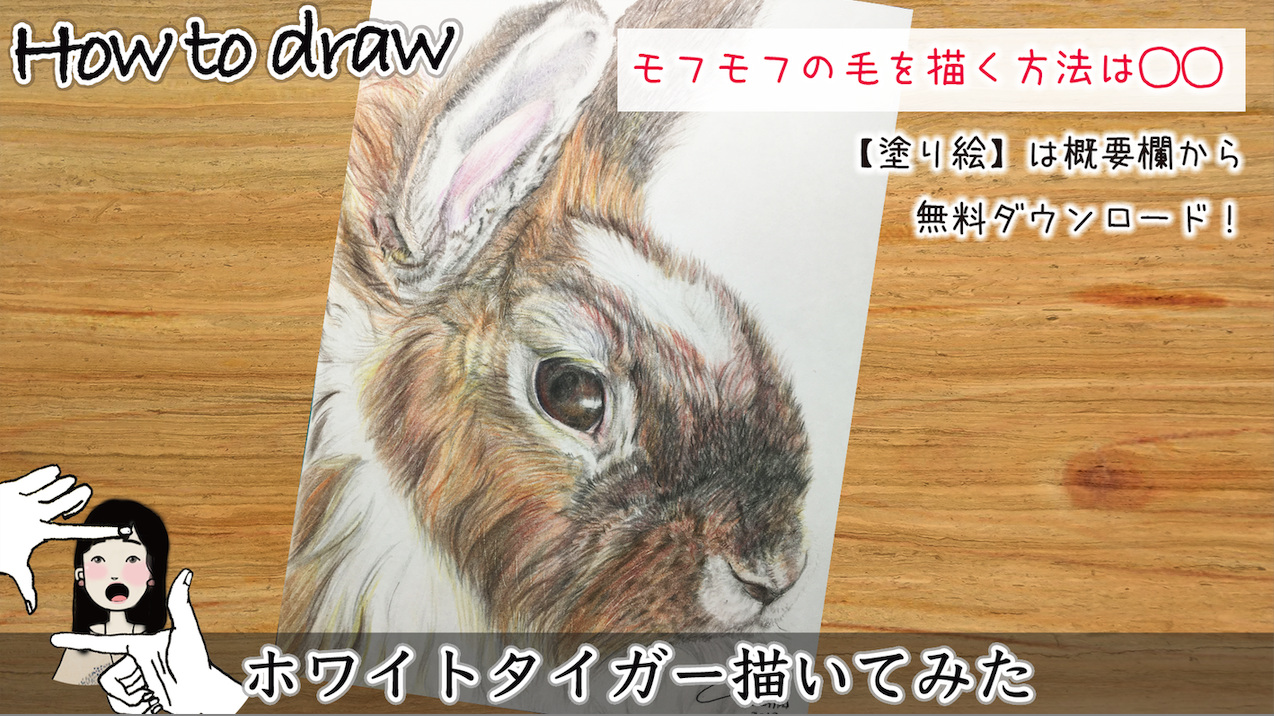 ぬり絵ーうさぎ いちだみなみ 美術家 ぬり絵ーうさぎ いちだみなみ 美術家